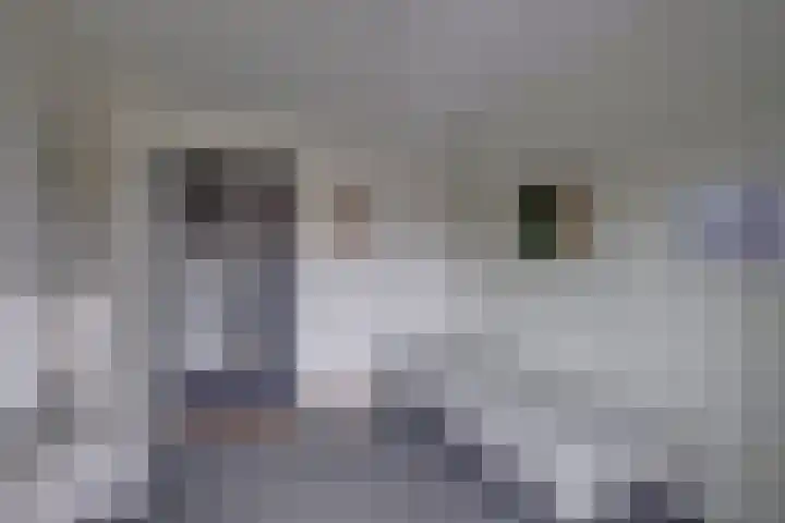 De Bakkerij 32 Laren thumbnail 31