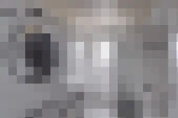 De Bakkerij 32 Laren thumbnail 34