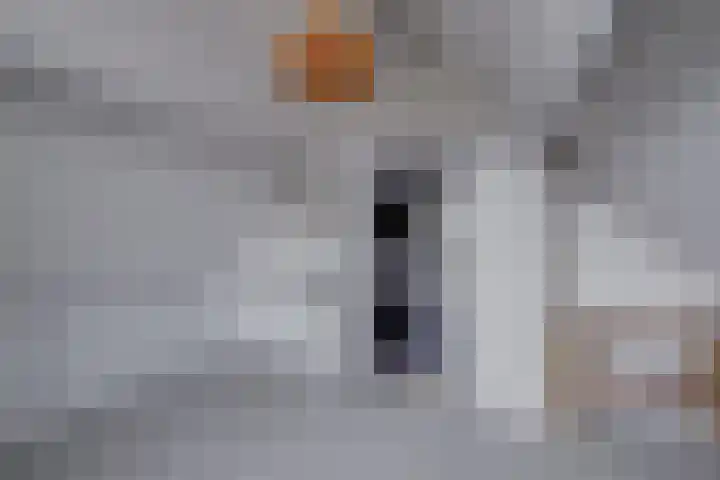 De Bakkerij 32 Laren thumbnail 43