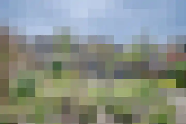 De Bakkerij 32 Laren thumbnail 49