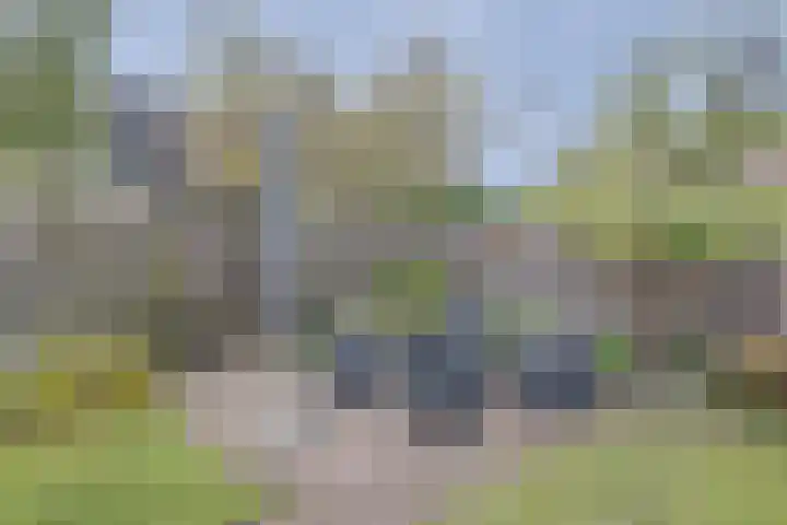 De Bakkerij 32 Laren thumbnail 50
