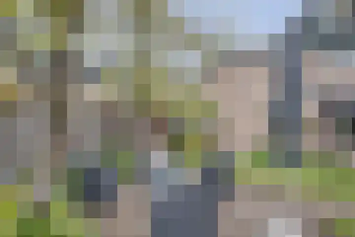 De Bakkerij 32 Laren thumbnail 51
