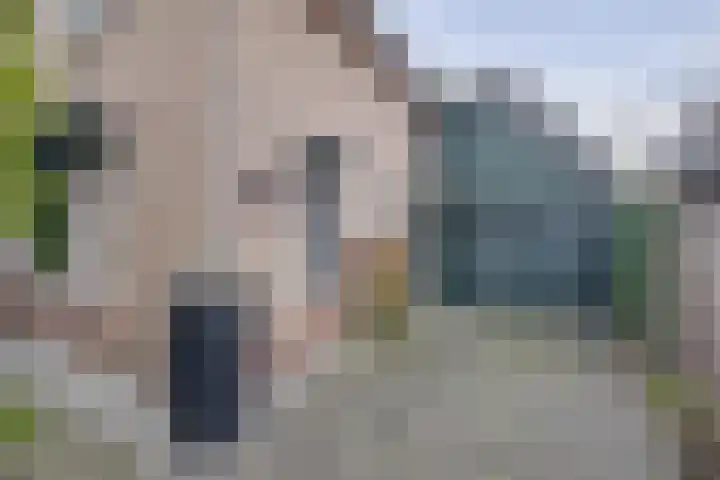 De Bakkerij 32 Laren thumbnail 6