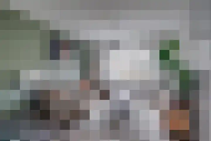 De Bakkerij 51 Laren thumbnail 11