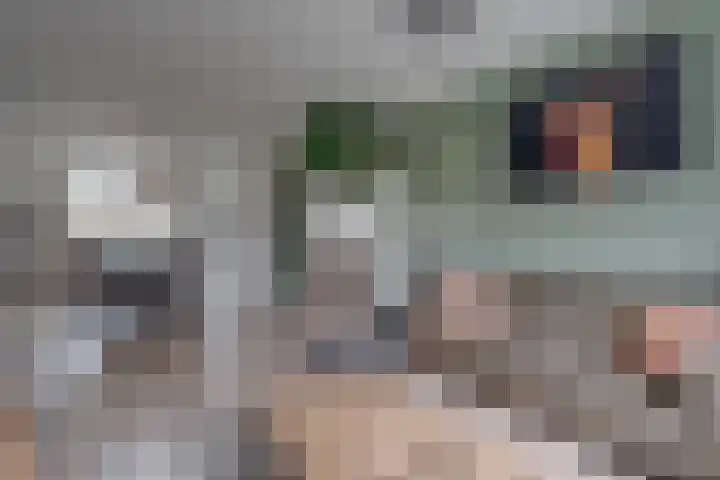 De Bakkerij 51 Laren thumbnail 13
