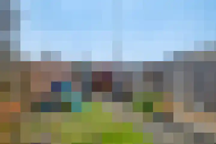 De Bakkerij 51 Laren thumbnail 38