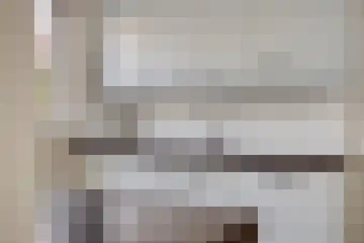 de Baljuw 19 Oirschot thumbnail 11