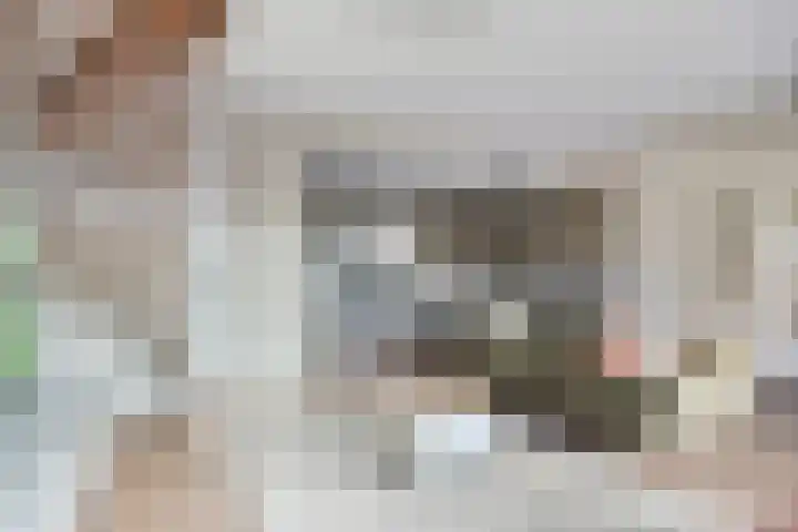 de Baljuw 19 Oirschot thumbnail 14