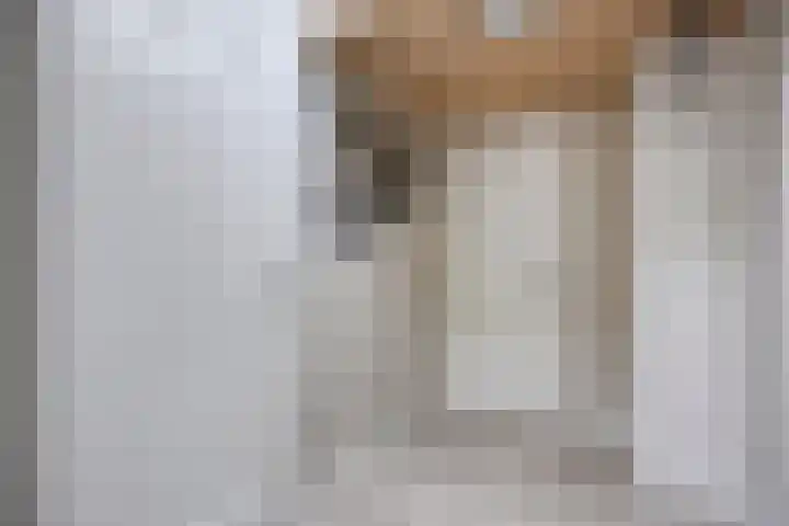 de Baljuw 19 Oirschot thumbnail 18