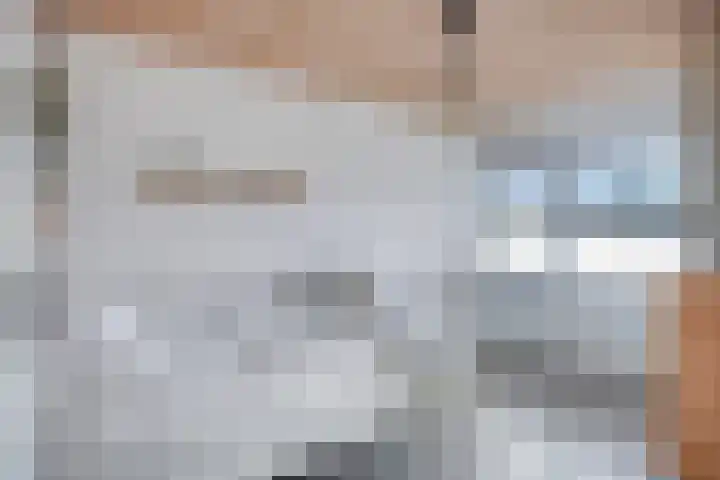 de Baljuw 19 Oirschot thumbnail 24