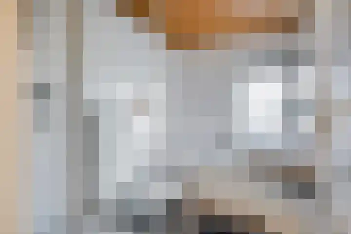 de Baljuw 19 Oirschot thumbnail 28