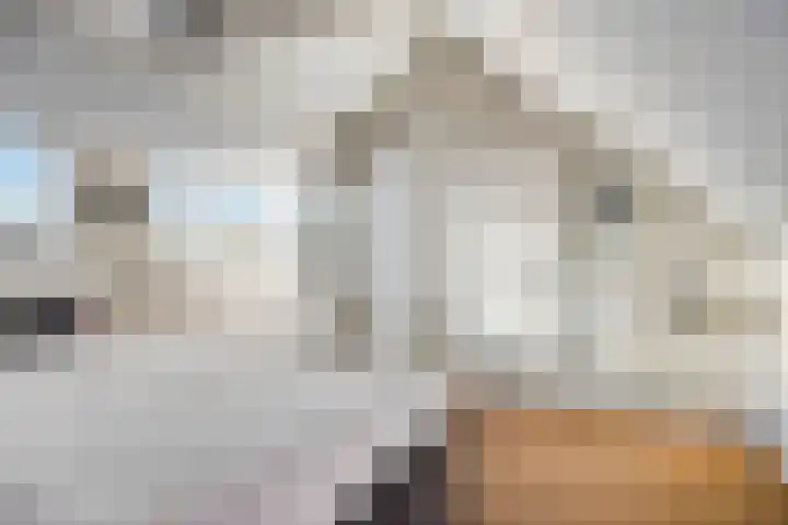 de Baljuw 19 Oirschot thumbnail 31