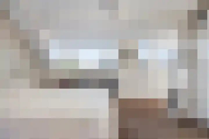 de Baljuw 19 Oirschot thumbnail 32