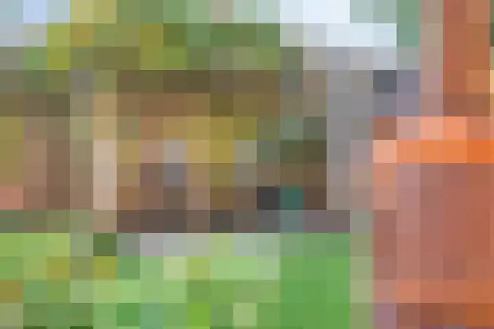 de Baljuw 19 Oirschot thumbnail 37