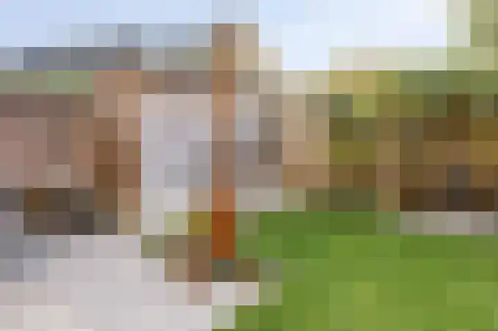de Baljuw 19 Oirschot thumbnail 38