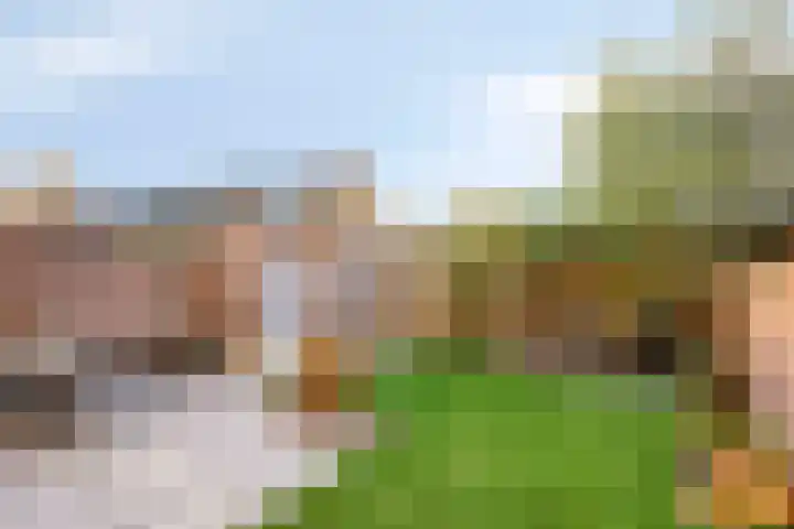 de Baljuw 19 Oirschot thumbnail 5