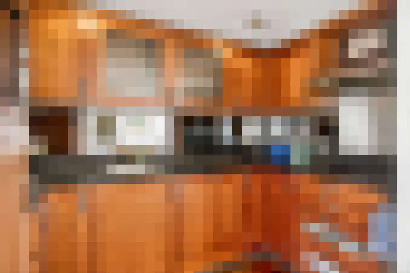 De Balk 12 Veenendaal thumbnail 21