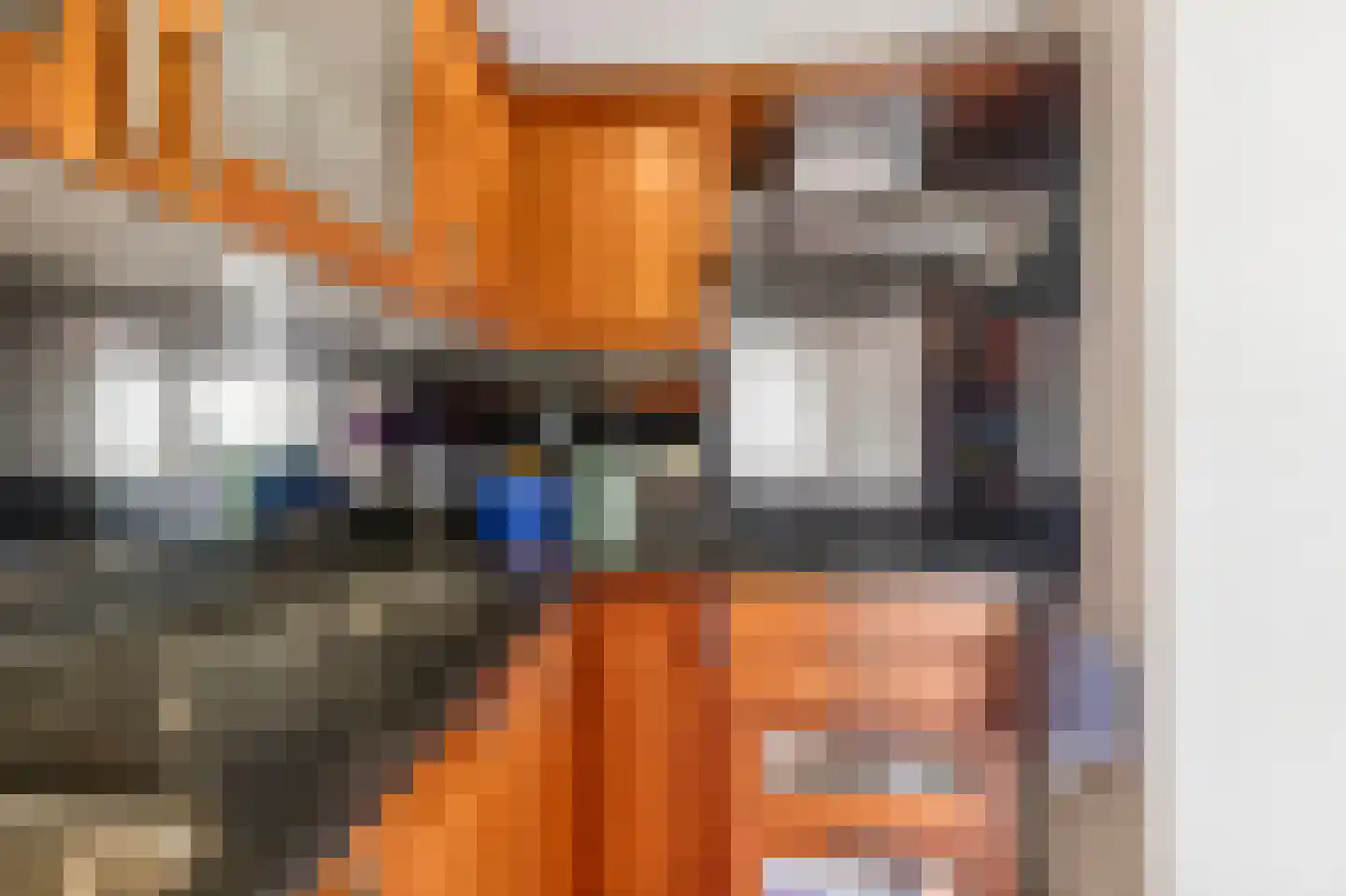 De Balk 12 Veenendaal thumbnail 22