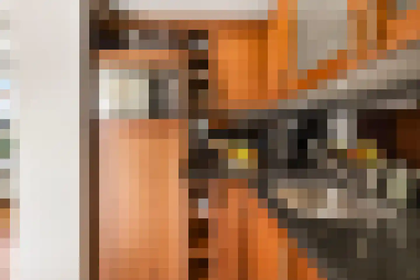 De Balk 12 Veenendaal thumbnail 23