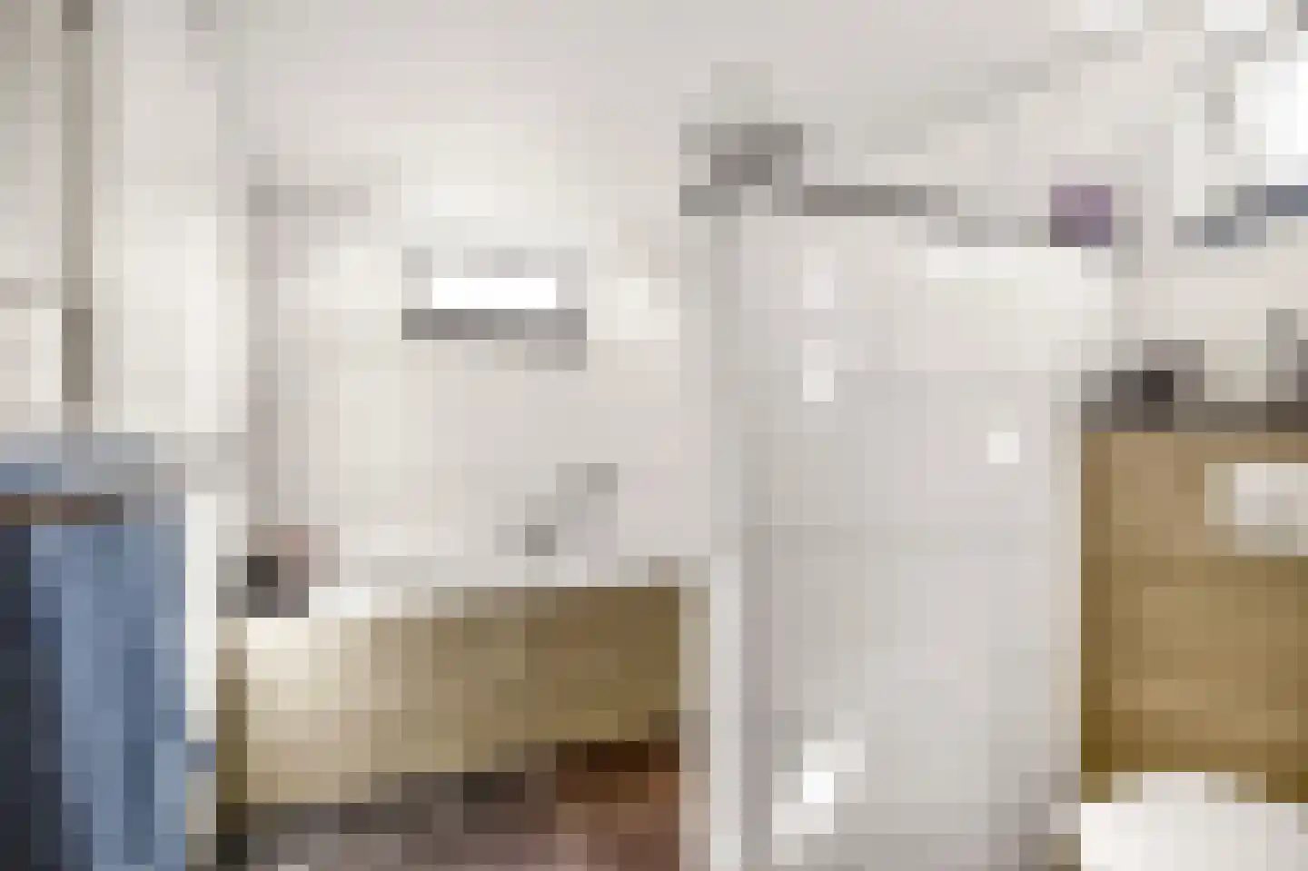 De Balk 12 Veenendaal thumbnail 26