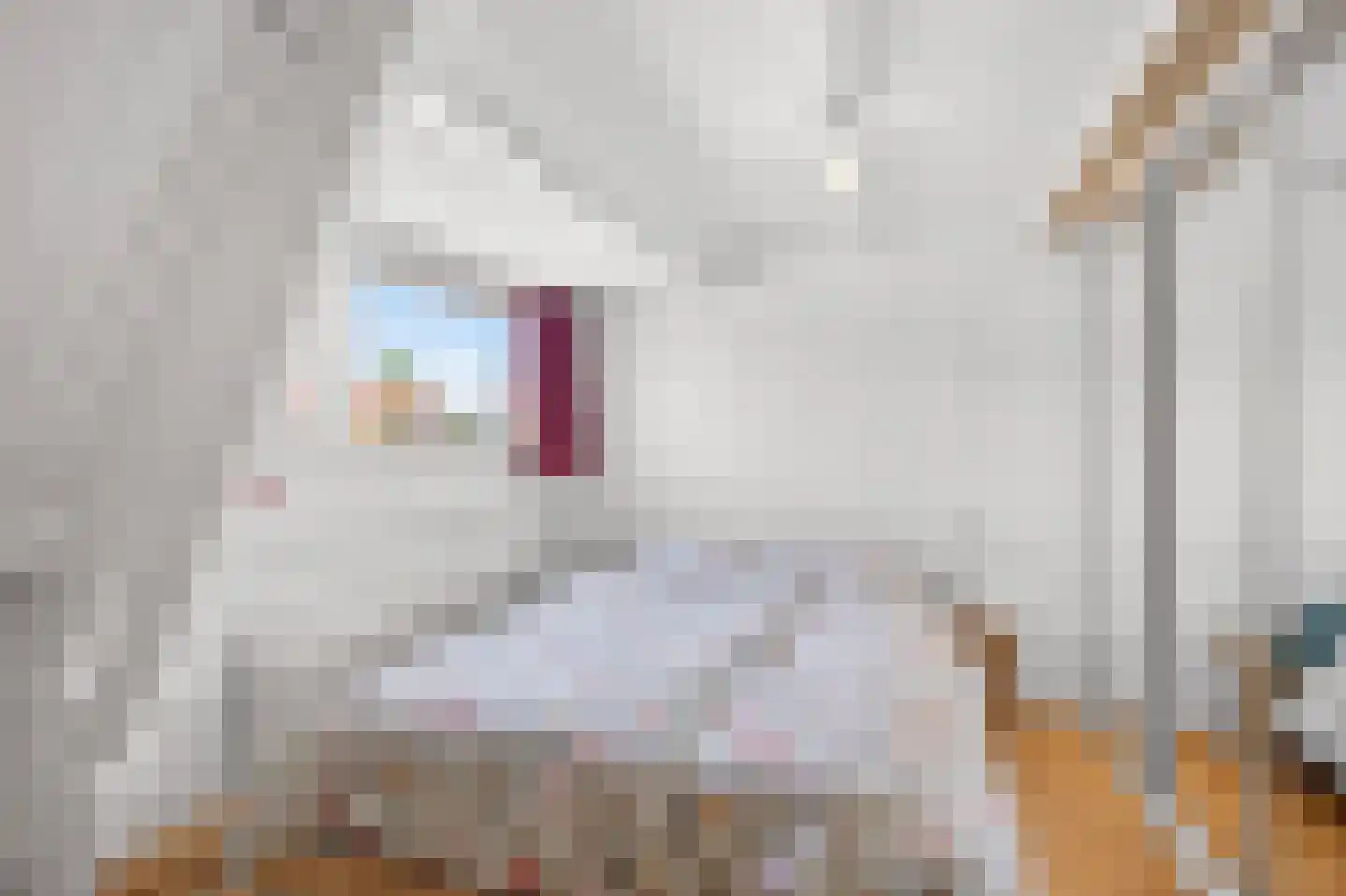 De Balk 12 Veenendaal thumbnail 34