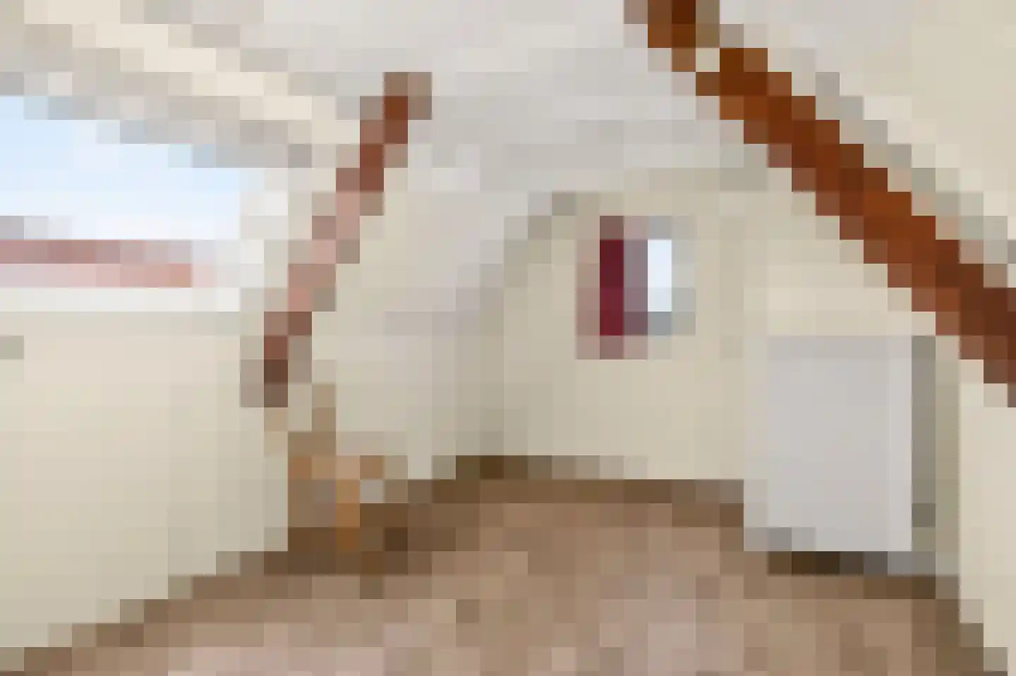 De Balk 12 Veenendaal thumbnail 39