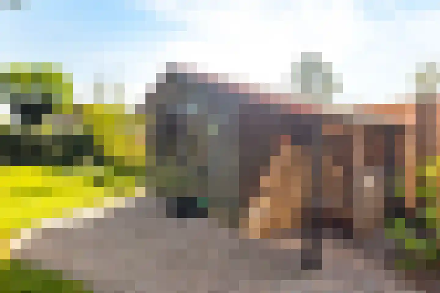 De Balk 12 Veenendaal thumbnail 53