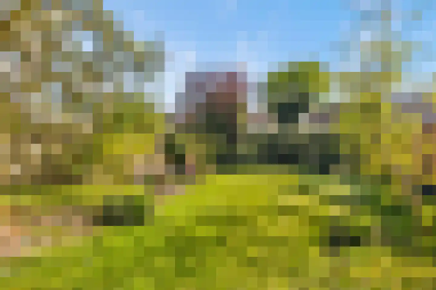 De Balk 12 Veenendaal thumbnail 54