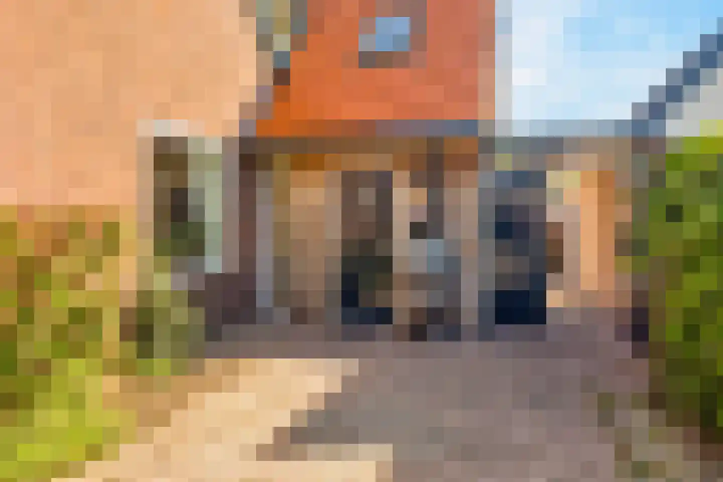 De Balk 12 Veenendaal thumbnail 59
