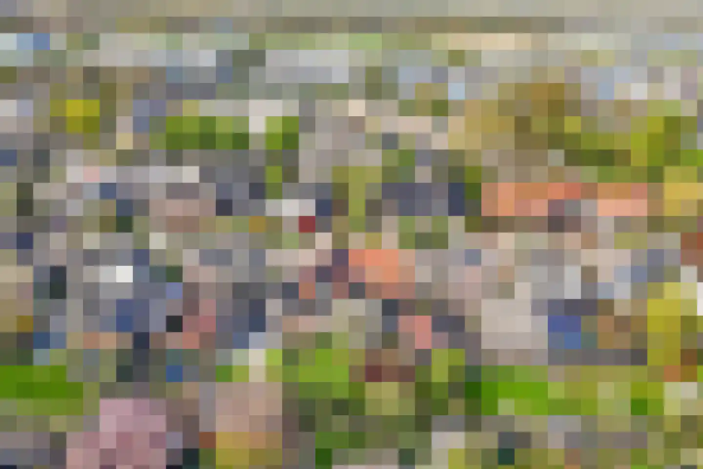 De Balk 12 Veenendaal thumbnail 69