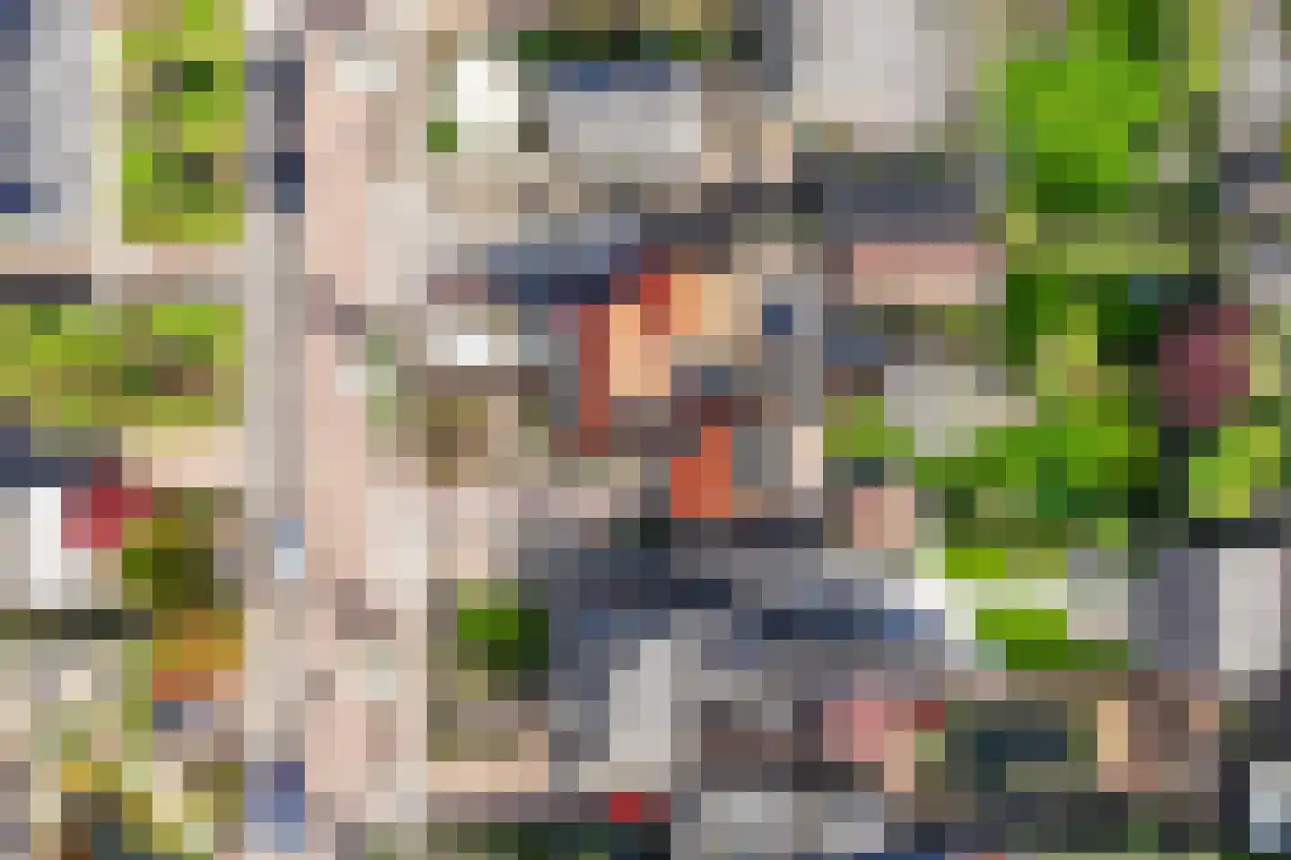 De Balk 12 Veenendaal thumbnail 69