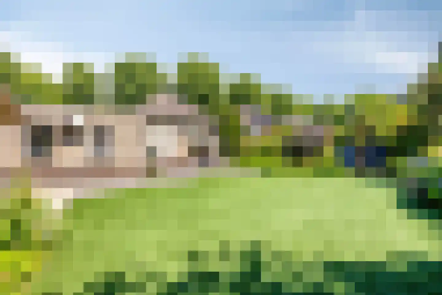 de Balmerd 116 Beuningen Gld thumbnail 49