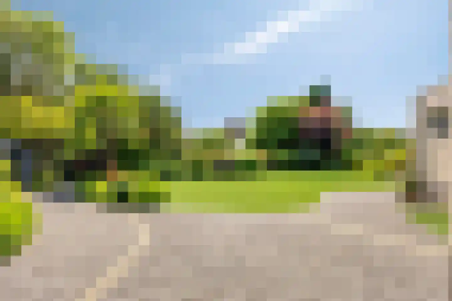 de Balmerd 116 Beuningen Gld thumbnail 50