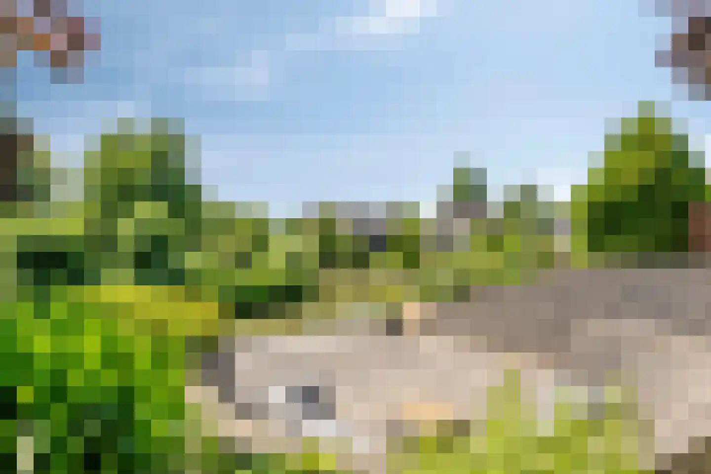de Balmerd 116 Beuningen Gld thumbnail 51