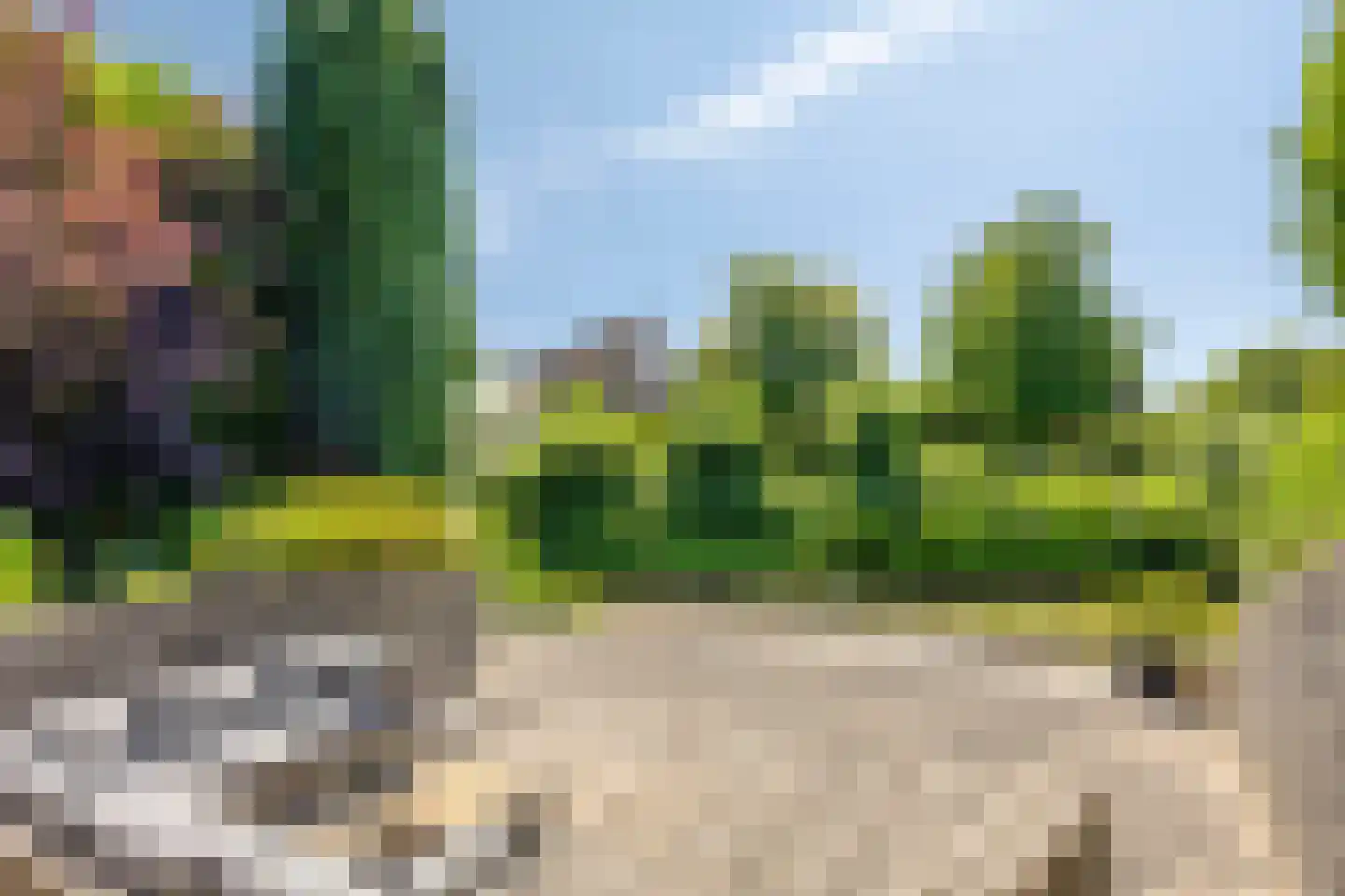 de Balmerd 116 Beuningen Gld thumbnail 52