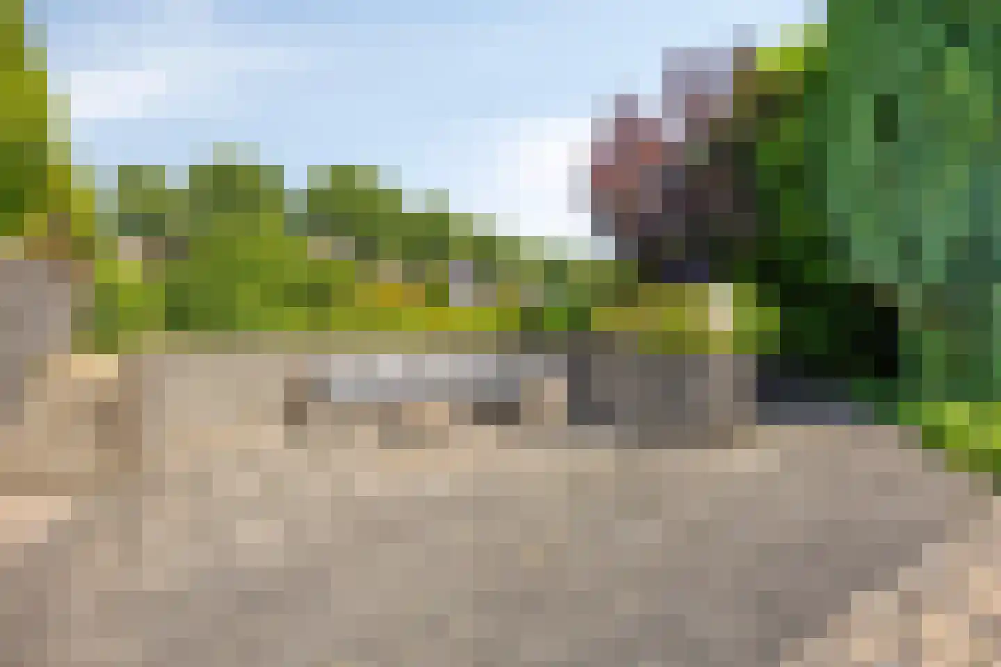 de Balmerd 116 Beuningen Gld thumbnail 53