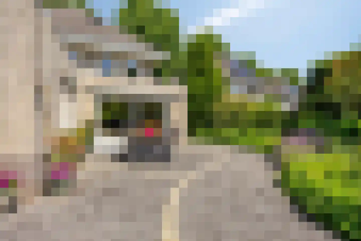 de Balmerd 116 Beuningen Gld thumbnail 56