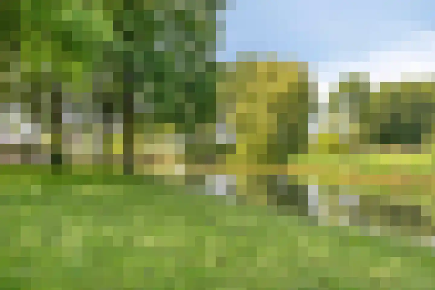 de Balmerd 116 Beuningen Gld thumbnail 62