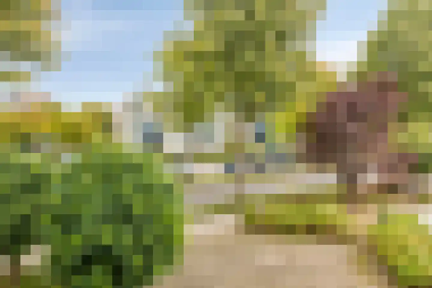 de Balmerd 128 Beuningen Gld thumbnail 27