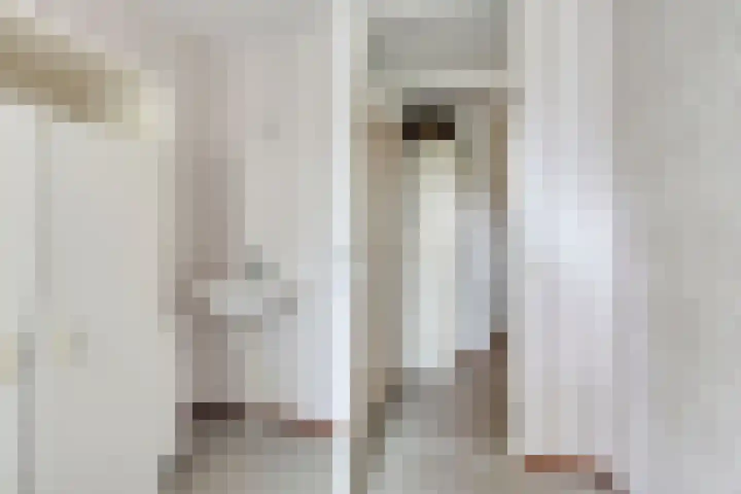 de Balmerd 128 Beuningen Gld thumbnail 31