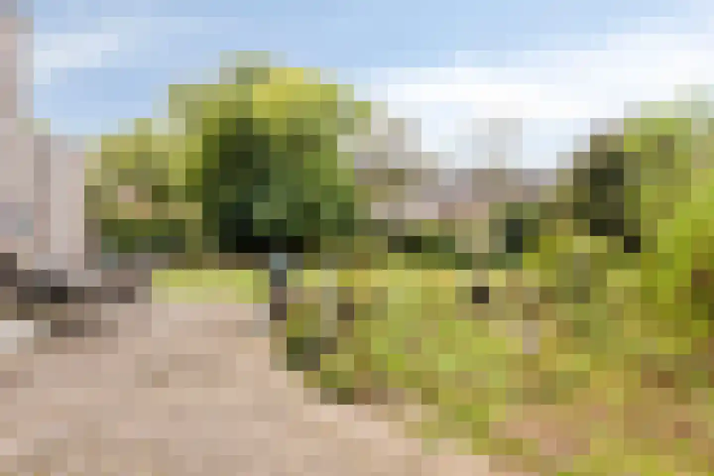de Balmerd 128 Beuningen Gld thumbnail 44