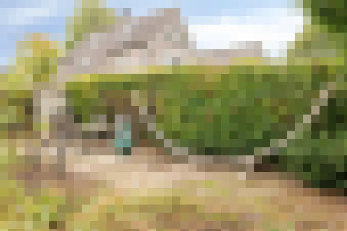 de Balmerd 128 Beuningen Gld thumbnail 45