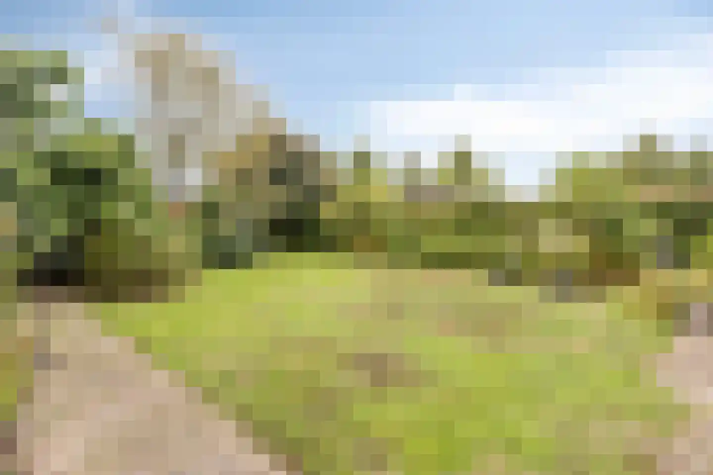 de Balmerd 128 Beuningen Gld thumbnail 46