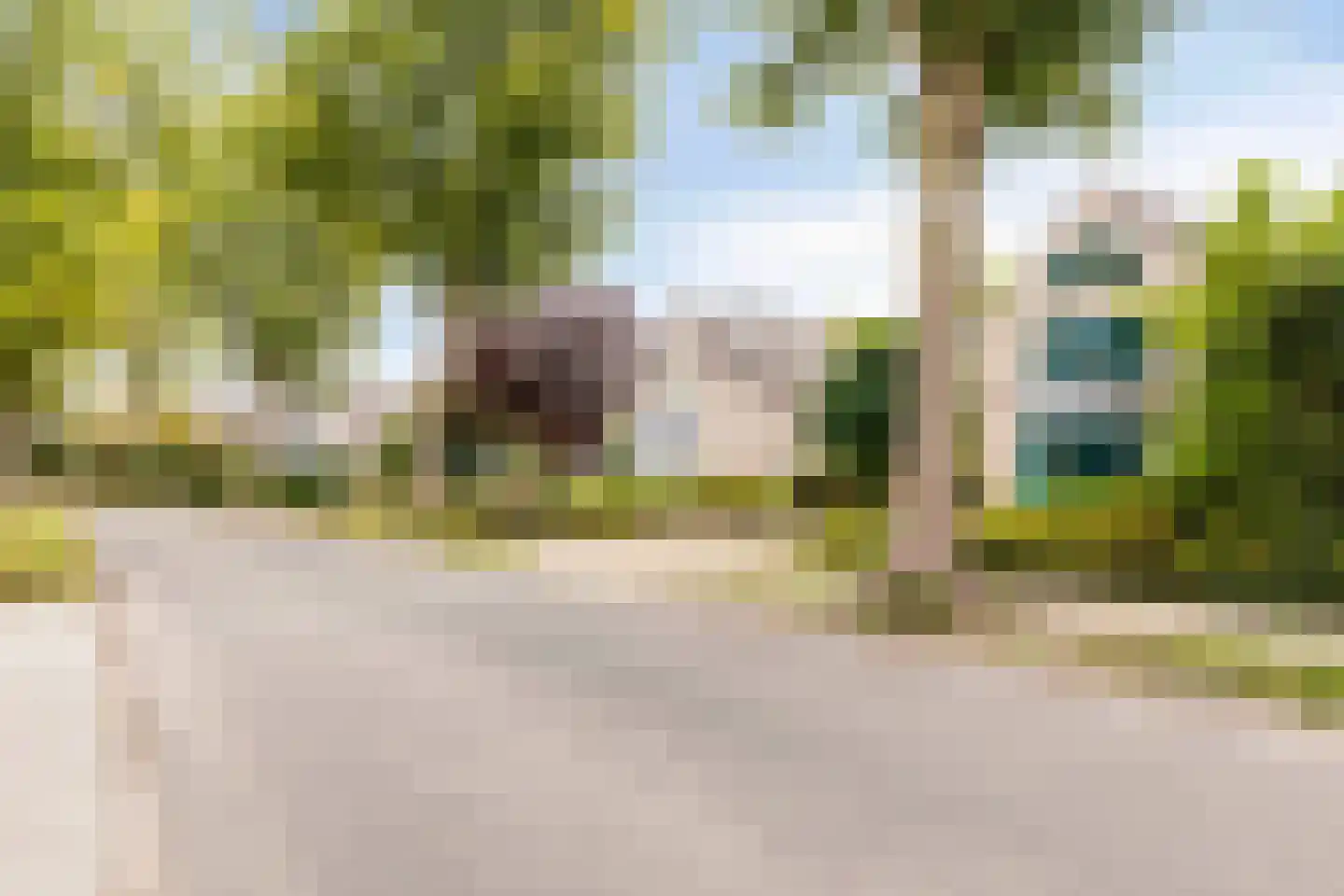 de Balmerd 128 Beuningen Gld thumbnail 48