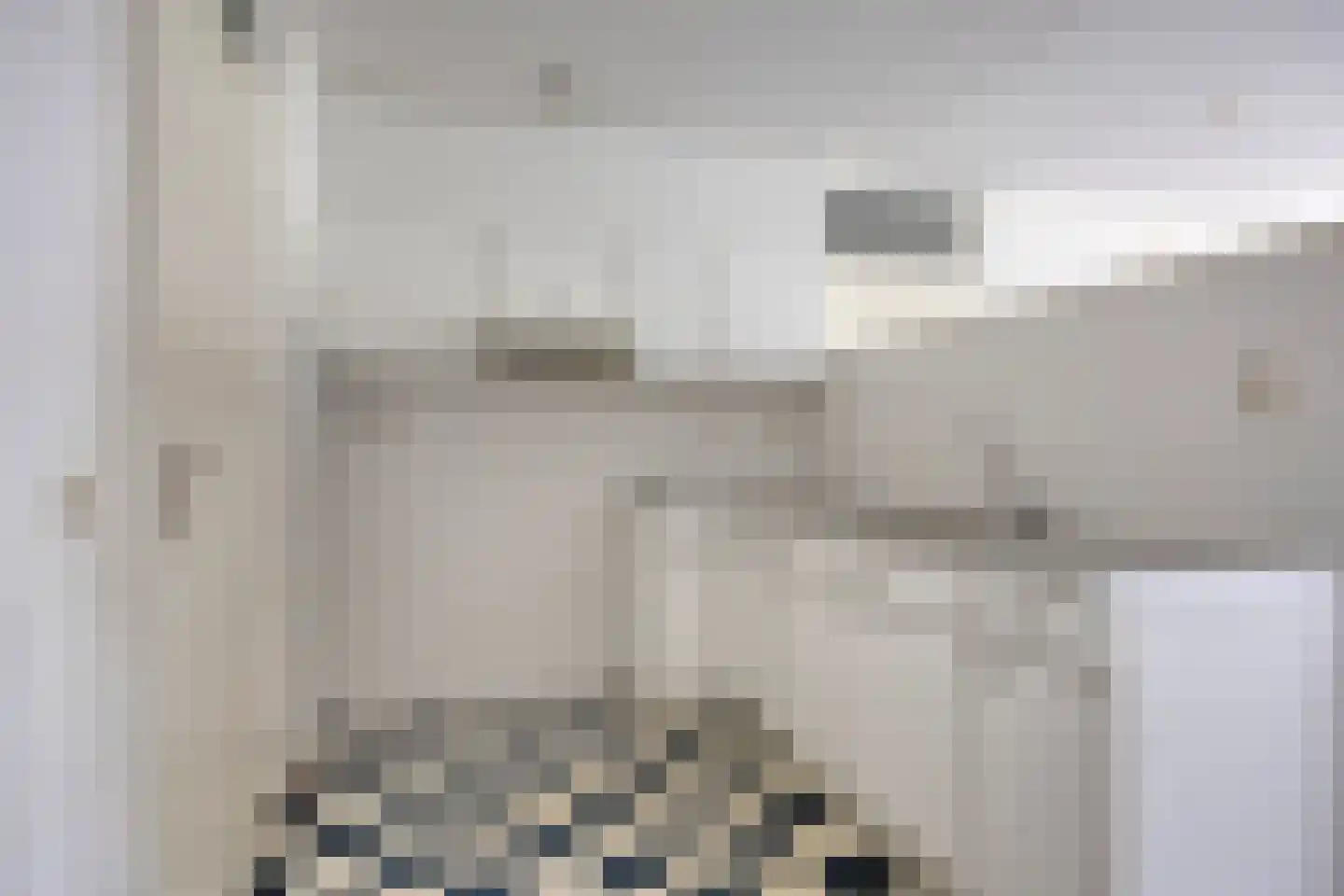 de Balmerd 147 Beuningen Gld thumbnail 17