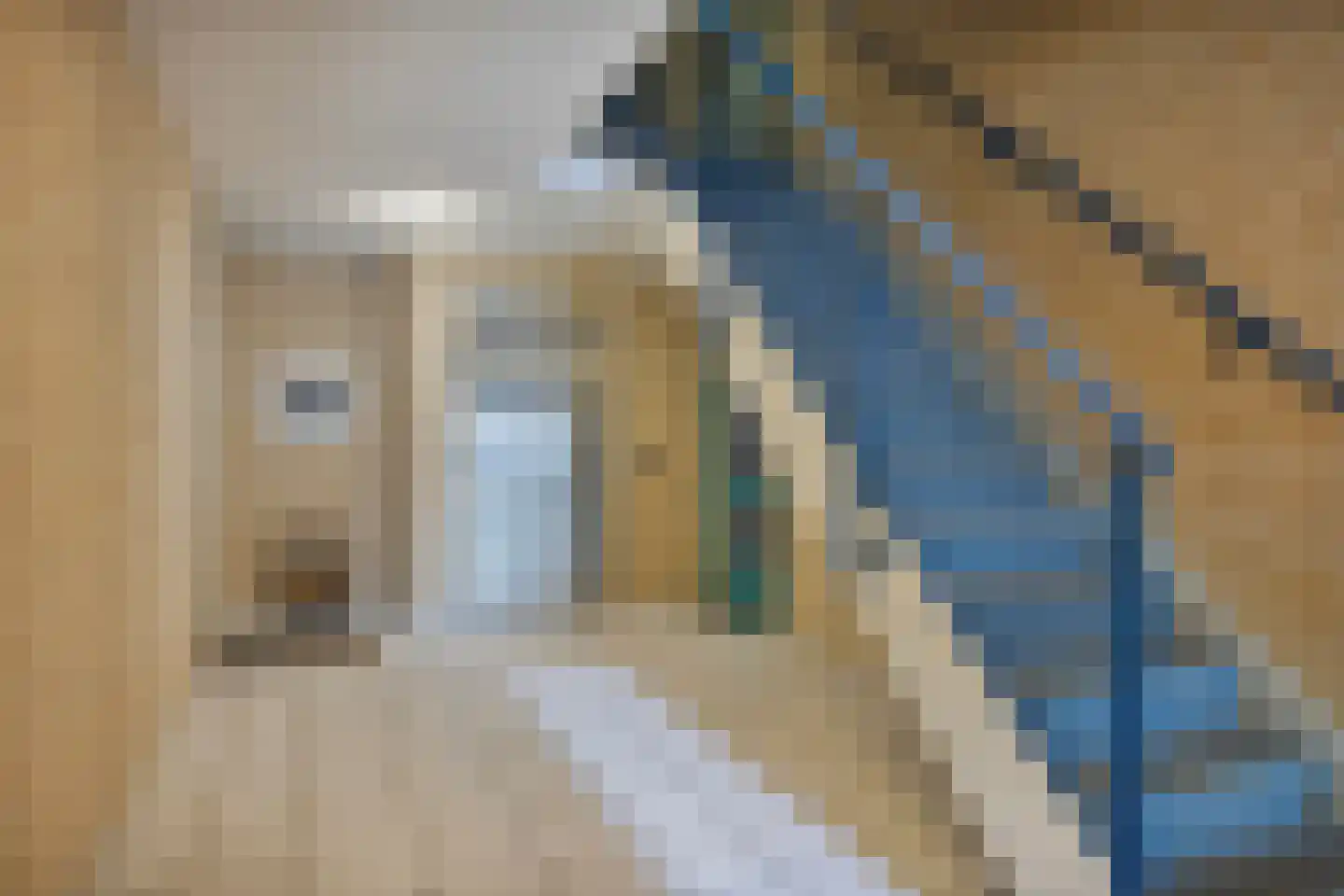 de Balmerd 147 Beuningen Gld thumbnail 8