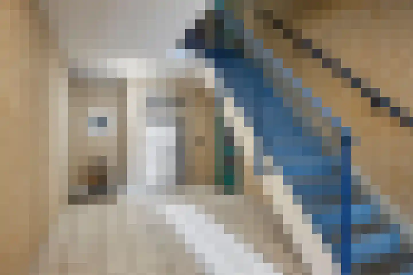 de Balmerd 155 Beuningen Gld thumbnail 10