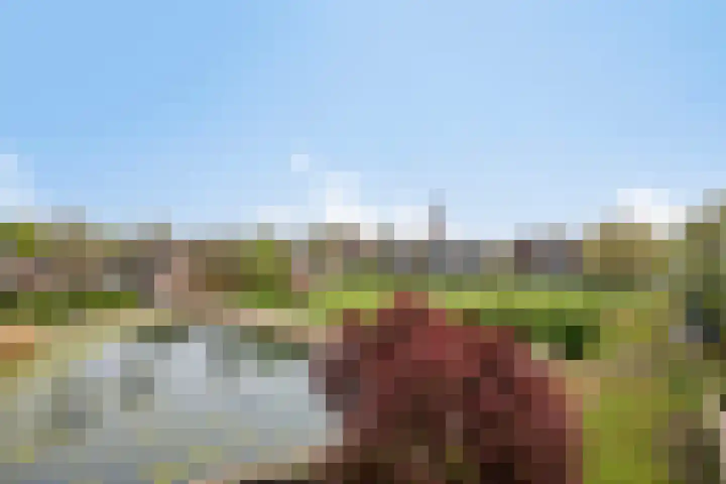 de Balmerd 155 Beuningen Gld thumbnail 42