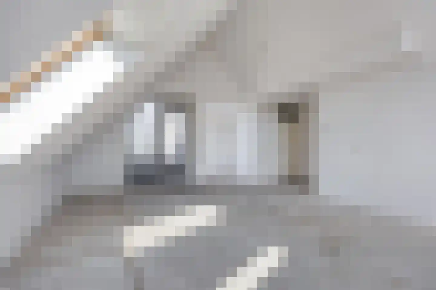 de Balmerd 177 Beuningen Gld thumbnail 20