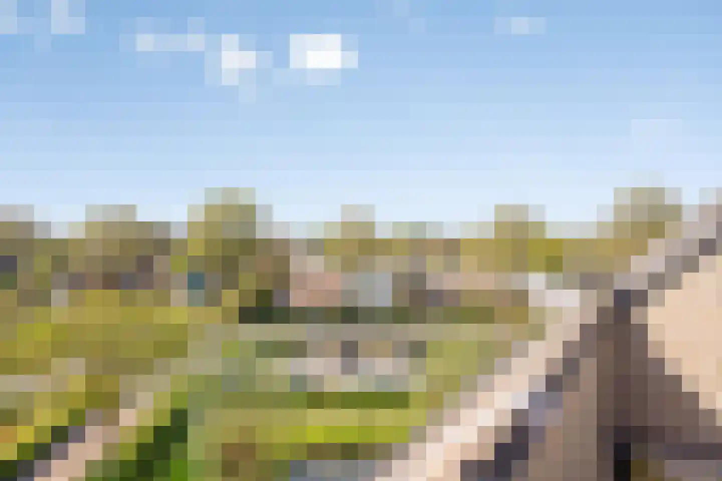 de Balmerd 177 Beuningen Gld thumbnail 23
